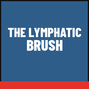 The Lymphatic Brush